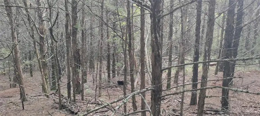 1 Rainbow Street, Minco, OK 73059 - Image #2