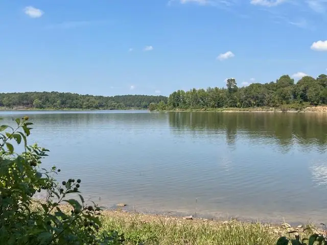 213 Laurel Leaf Lane, Ringold, OK 74759 - Image #3