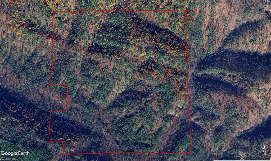 Mountain Road, Smithville, OK 74957 - Image #1