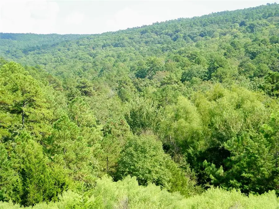 Mountain Road, Smithville, OK 74957 - Image #2