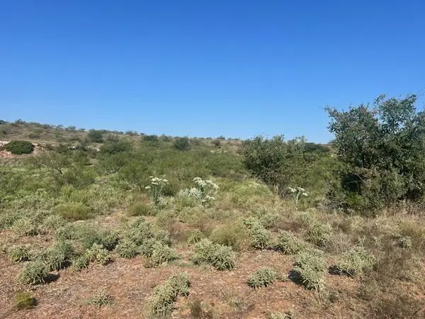 1480 E County Roads, Mangum, OK 73554