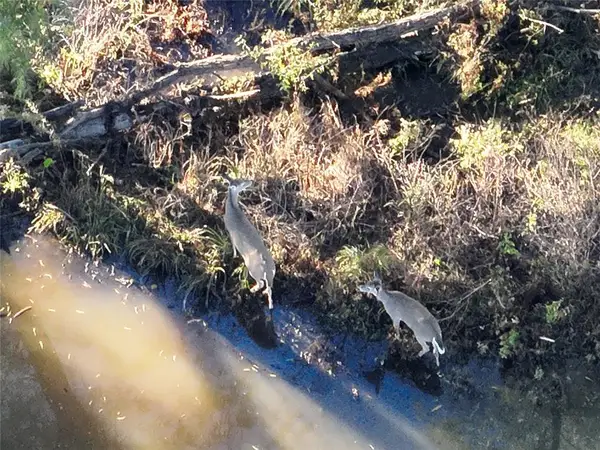 EW 1260 Road, Seminole, OK 74868