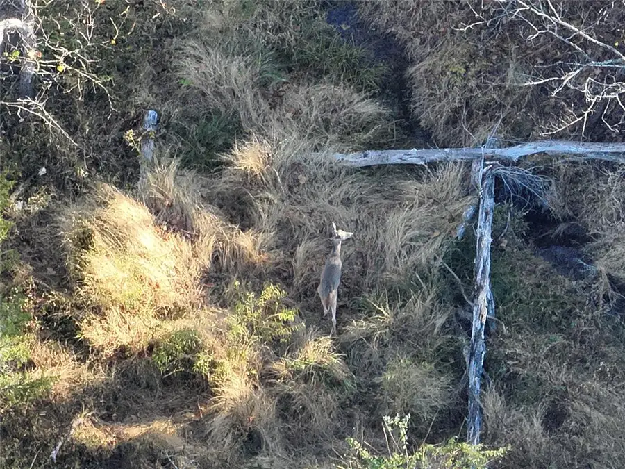 EW 1260 Road, Seminole, OK 74868 - Image #3