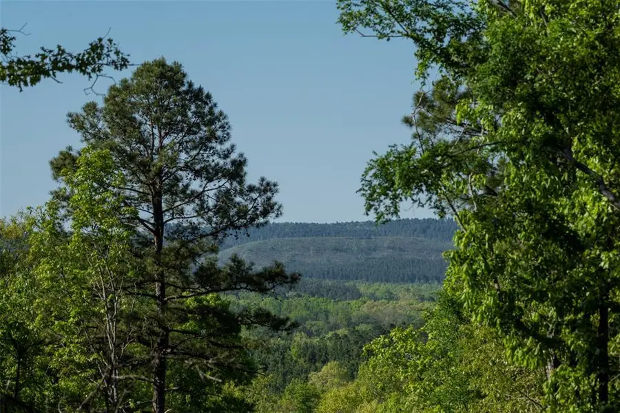 Frances Fir Road, Broken Bow, OK 74728 - Image #2