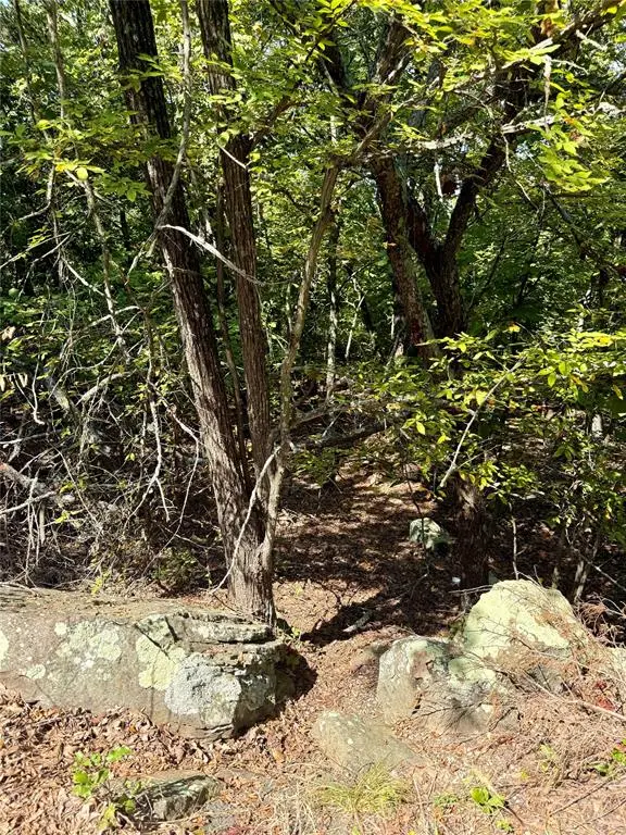 Marian Lane, Eufaula, OK 74432 - Image #3