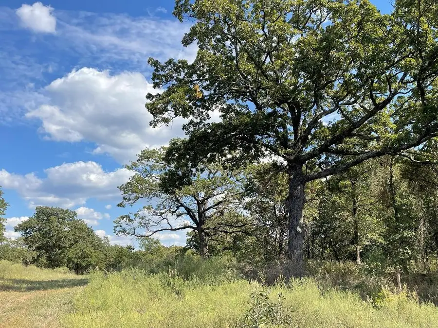 5402 Oak Hill Ranch Road, Noble, OK 73068 - Image #3