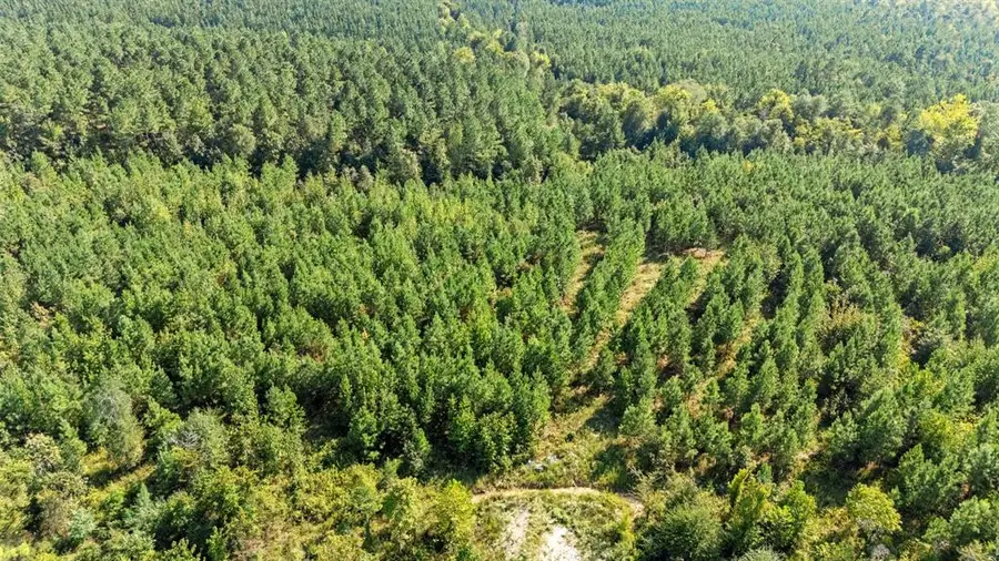 50 S Holland Trail, Broken Bow, OK 74728 - Image #2