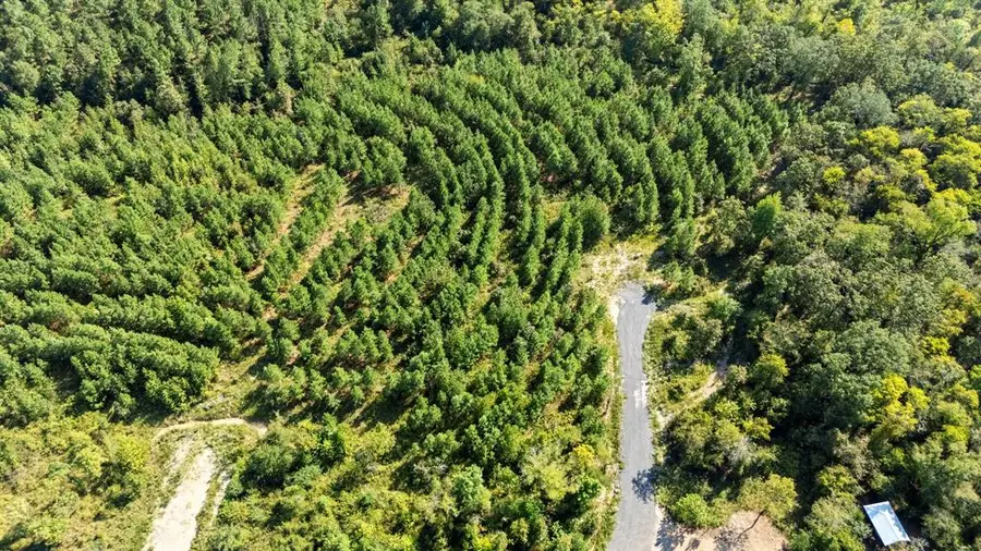 51 S Holland Trail, Broken Bow, OK 74728 - Image #2