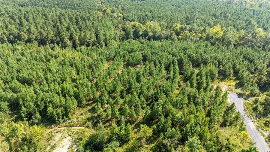 294 Red Holly Trail, Broken Bow, OK 74728 - Image #2