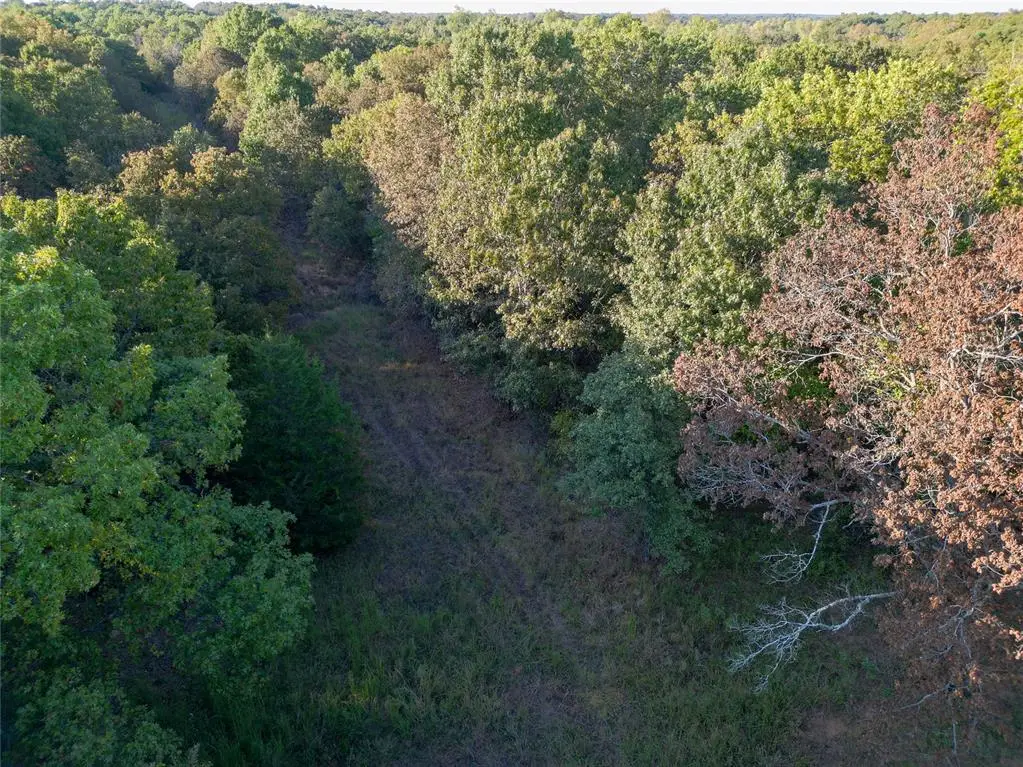 Lot B - Williams Road, Tribbey, OK 74878 - Image #1