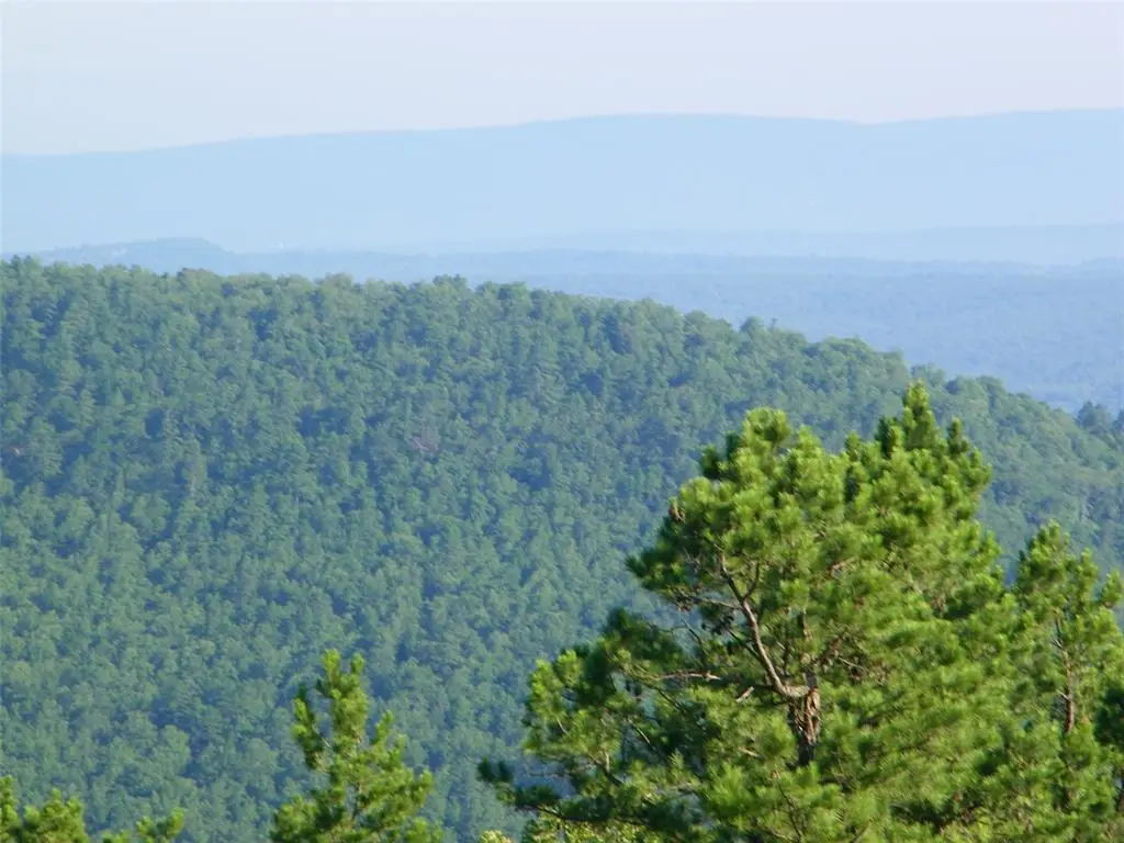 NE 155th Street, Red Oak, OK 74563 - Image #1