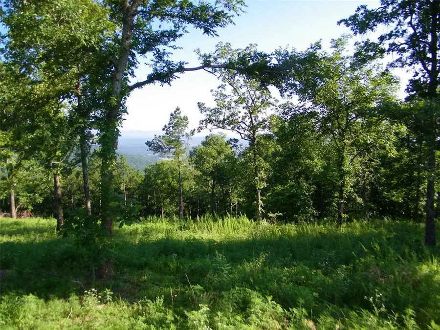 NE 155th Street, Red Oak, OK 74563 - Image #2