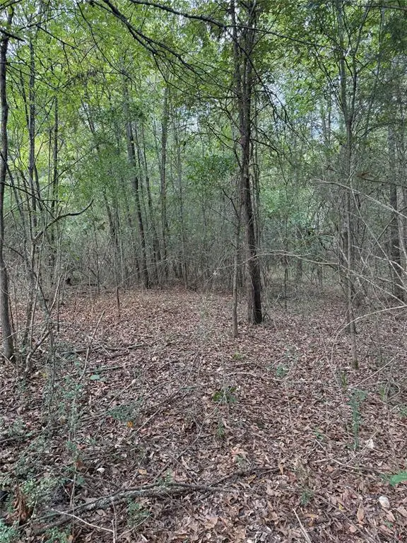 000 W State 3 Highway, Broken Bow, OK 74728 - Image #1