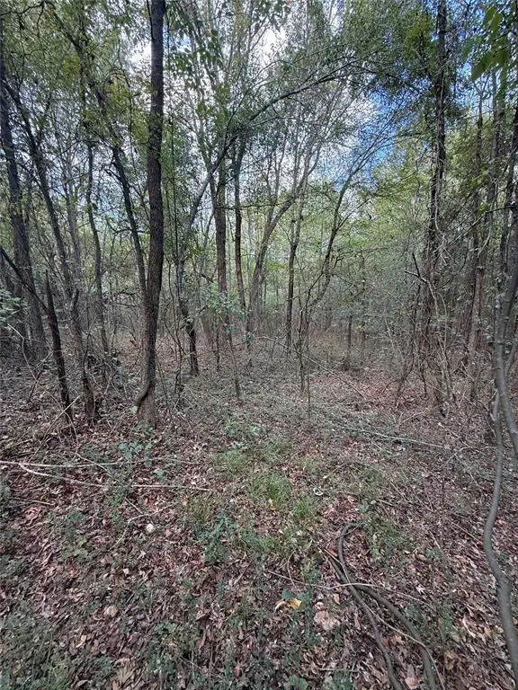 000 W State 3 Highway, Broken Bow, OK 74728 - Image #2