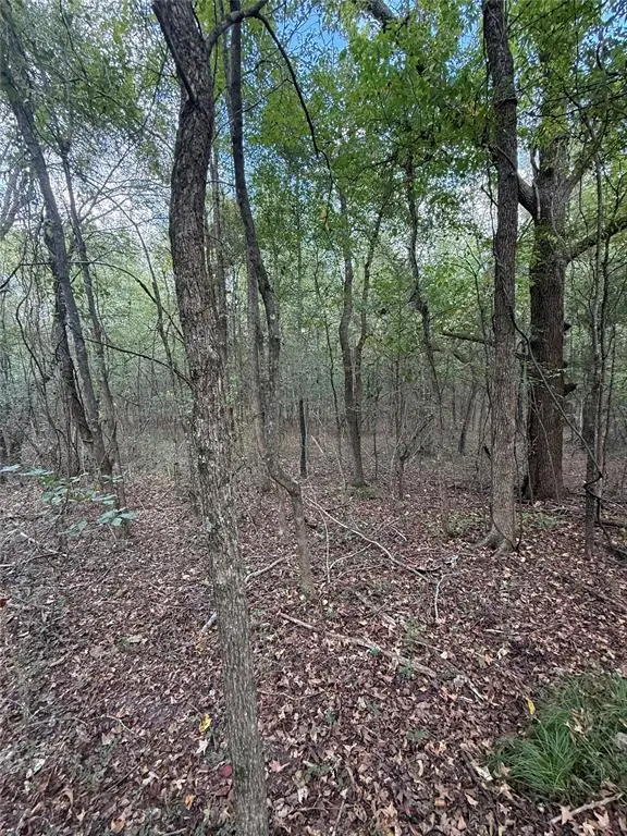 000 W State 3 Highway, Broken Bow, OK 74728 - Image #3