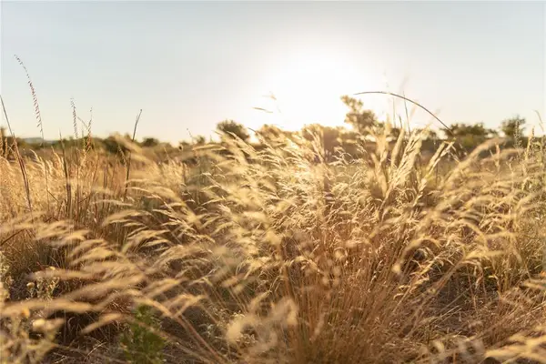 000 E 1540 Road, Snyder, OK 73566