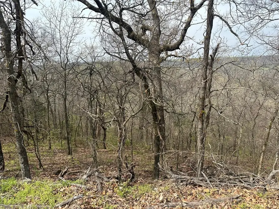 000 W Big Rock Road #Lot 7, Park Hill, OK 74451 - #3