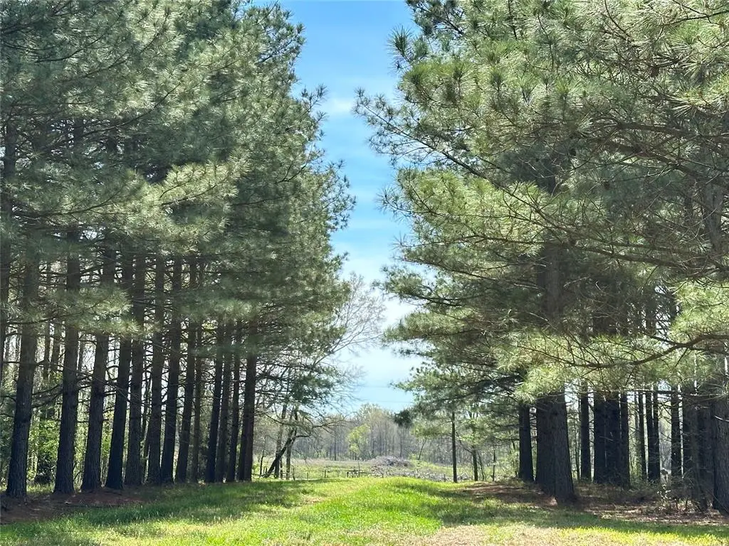 2621 Goodwater Road, Idabel, OK 74745 - #1