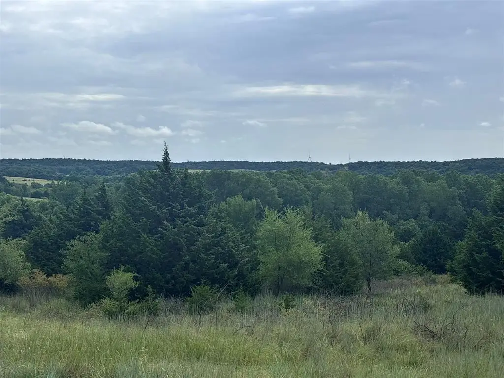 N N 2750 Road #8, Minco, OK 73059 - Image #1