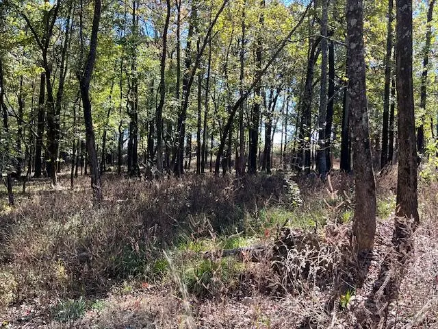 176 Deer Valley Circle, Broken Bow, OK 74728 - Image #2