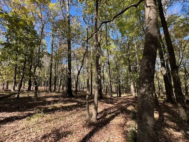 196 Deer Valley Circle, Broken Bow, OK 74728 - Image #3