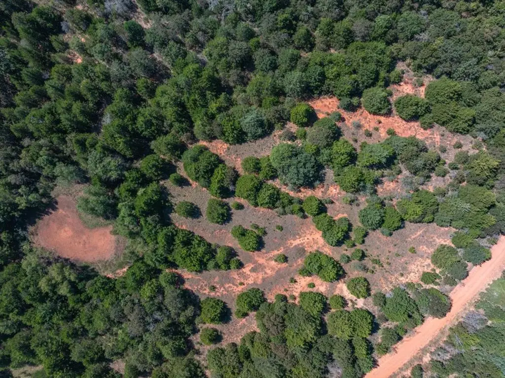 4 N Discouraging Word Way, Luther, OK 73054 - #1