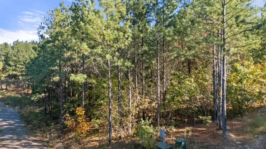 24 Cedar Tree Trail, Broken Bow, OK 74728 - Image #2