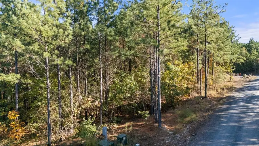 24 Cedar Tree Trail, Broken Bow, OK 74728 - Image #3