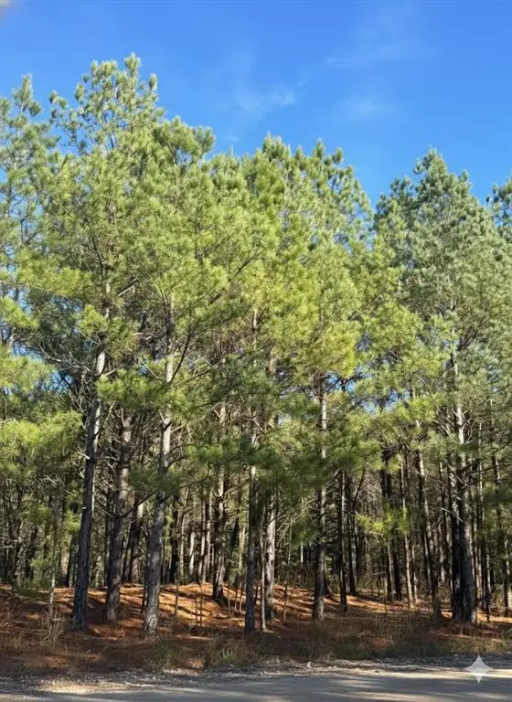 5 Sugarberry Trail, Broken Bow, OK 74728 - Image #2