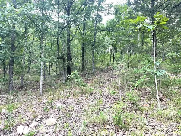 143 Western Cedar Trail, Broken Bow, OK 74728
