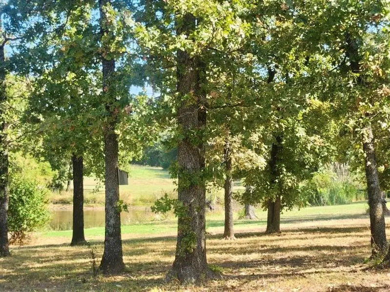 38504 Highway 9, Tecumseh, OK 74873 - Image #3