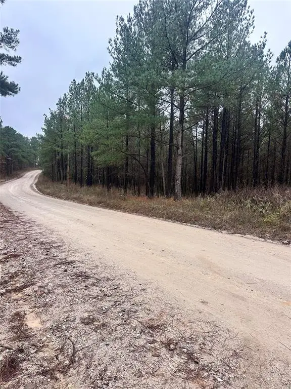 000 Sugarberry Trail, Broken Bow, OK 74728