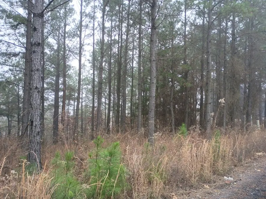 460 Timberline Trail, Broken Bow, OK 74728 - Image #2