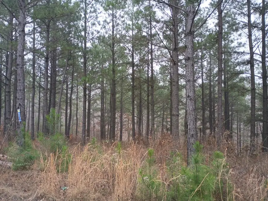 460 Timberline Trail, Broken Bow, OK 74728 - Image #3