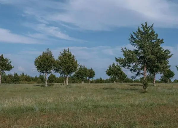 110 Selah Way, Norman, OK 73072