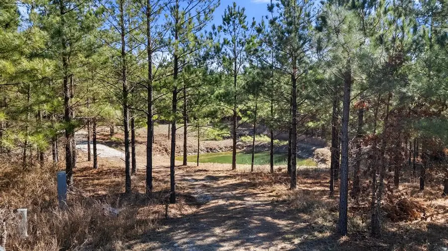 64 Pine Root Court, Broken Bow, OK 74728 - Image #2