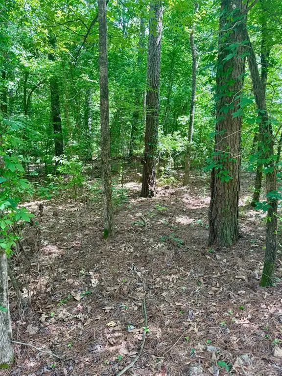 125 Pawpaw Trail, Broken Bow, OK 74728 - Image #2