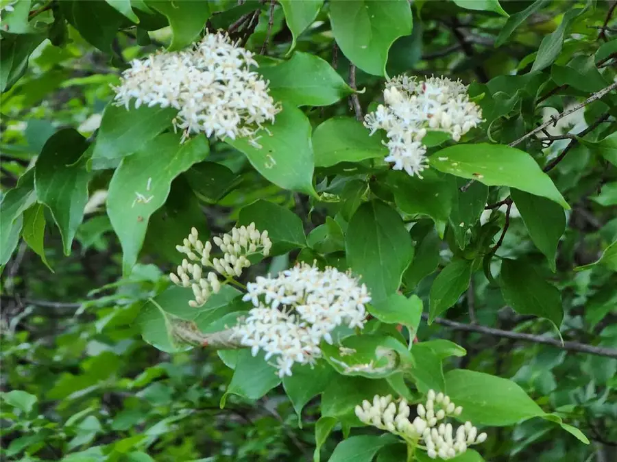 10065 SW 29 Street, Yukon, OK 73099 - Image #2