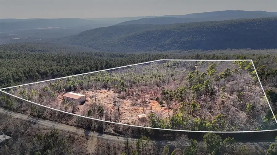 Flag Pole Road, Clayton, OK 74536 - #3