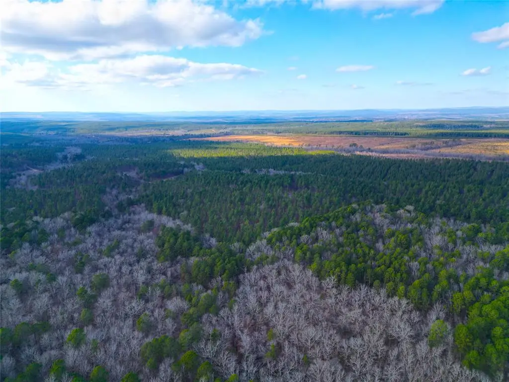 685 Johnny Beavers Trail Road, Broken Bow, OK 74728 - Image #1