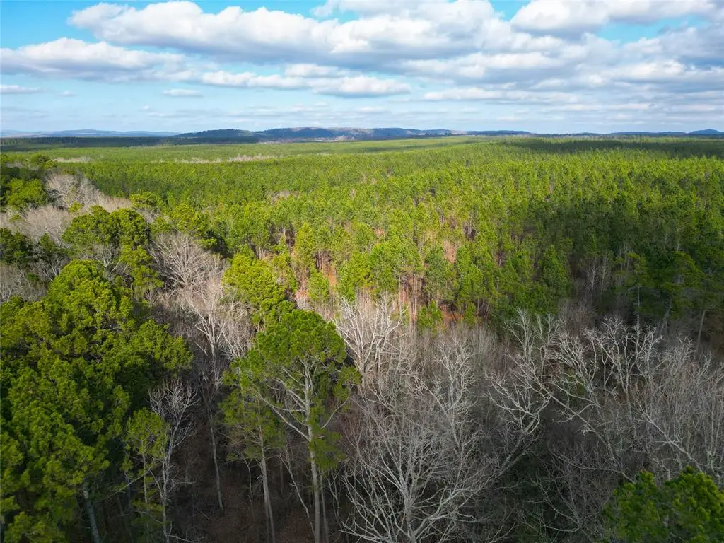 804 Johnny Beavers Trail Road, Broken Bow, OK 74728 - Image #1