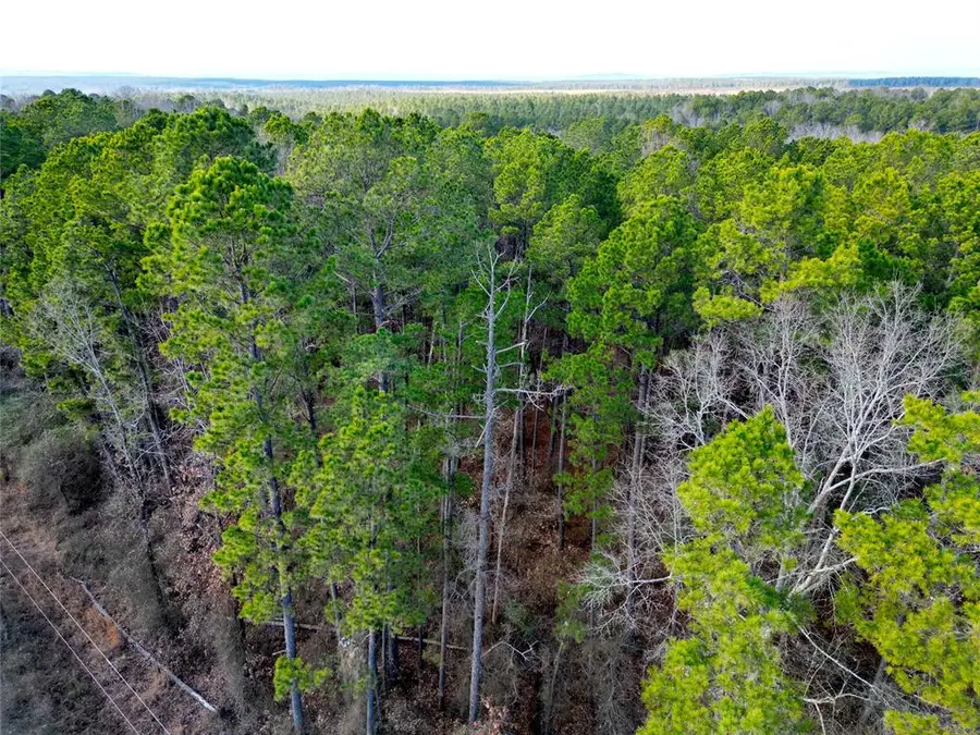 776 Johnny Beavers Trail Road, Broken Bow, OK 74728 - Image #3