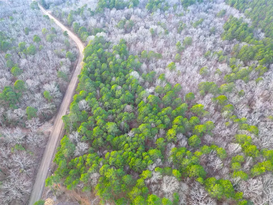 743 Johnny Beavers Trail Road, Broken Bow, OK 74728 - Image #2