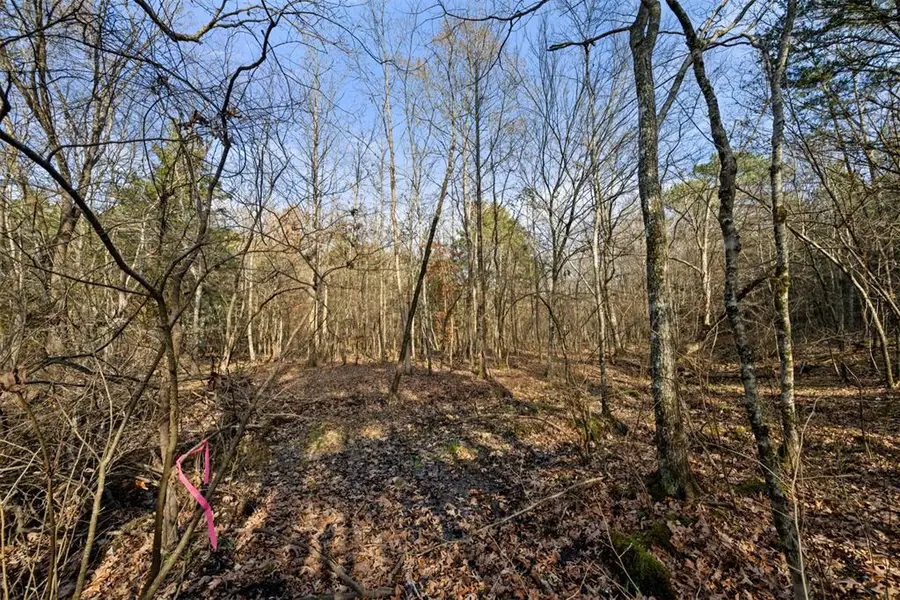 316 Marked Pine Lane, Broken Bow, OK 74728 - #2