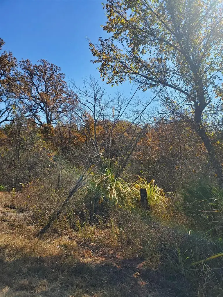 11808 SE 134th (tract 2) Street, Oklahoma City, OK 73165 - #2