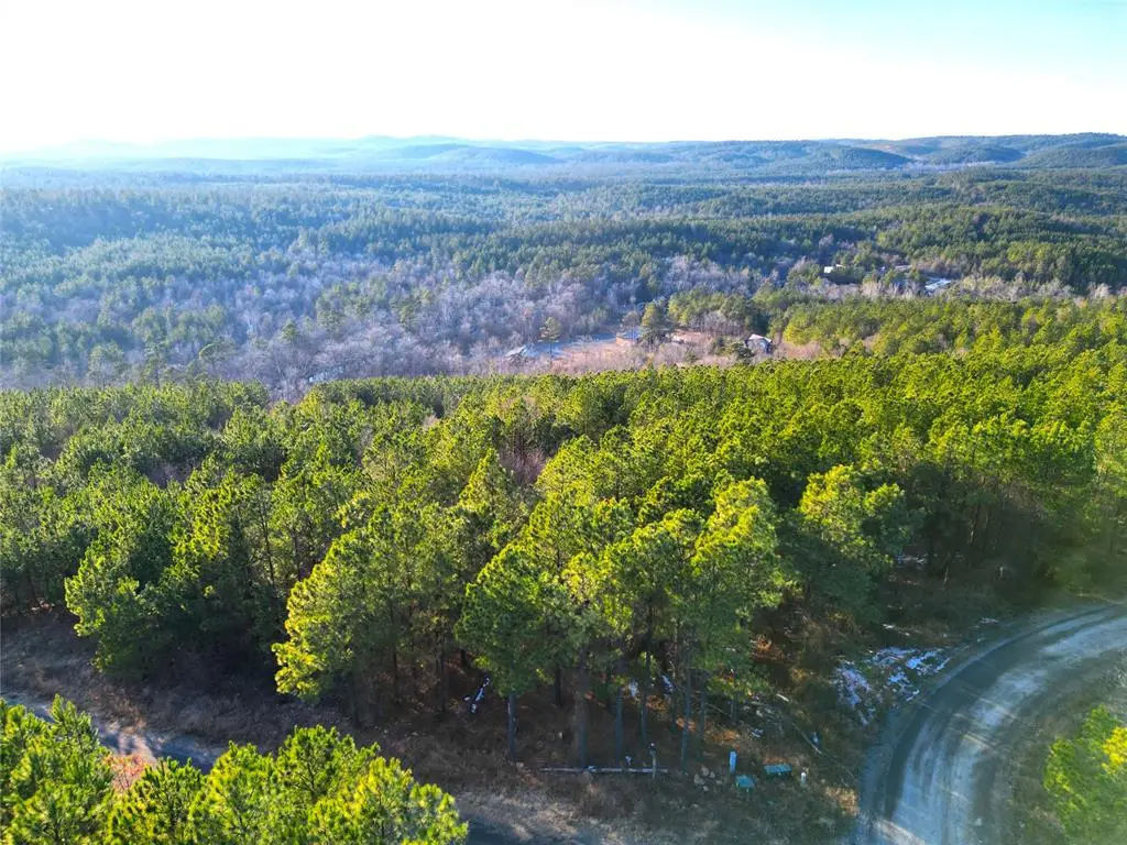 484 Lukfata Fork Trail, Broken Bow, OK 74728 - #1