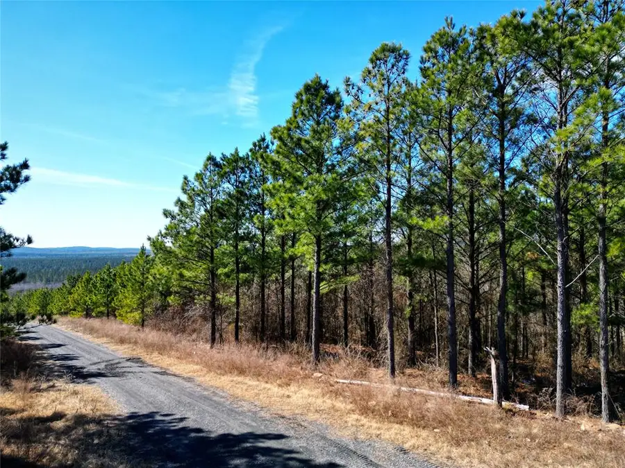 484 Lukfata Fork Trail, Broken Bow, OK 74728 - #2