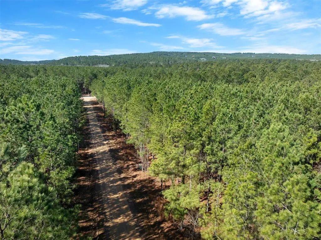 47 Hochadogwood Trail, Broken Bow, OK 74728 - #1