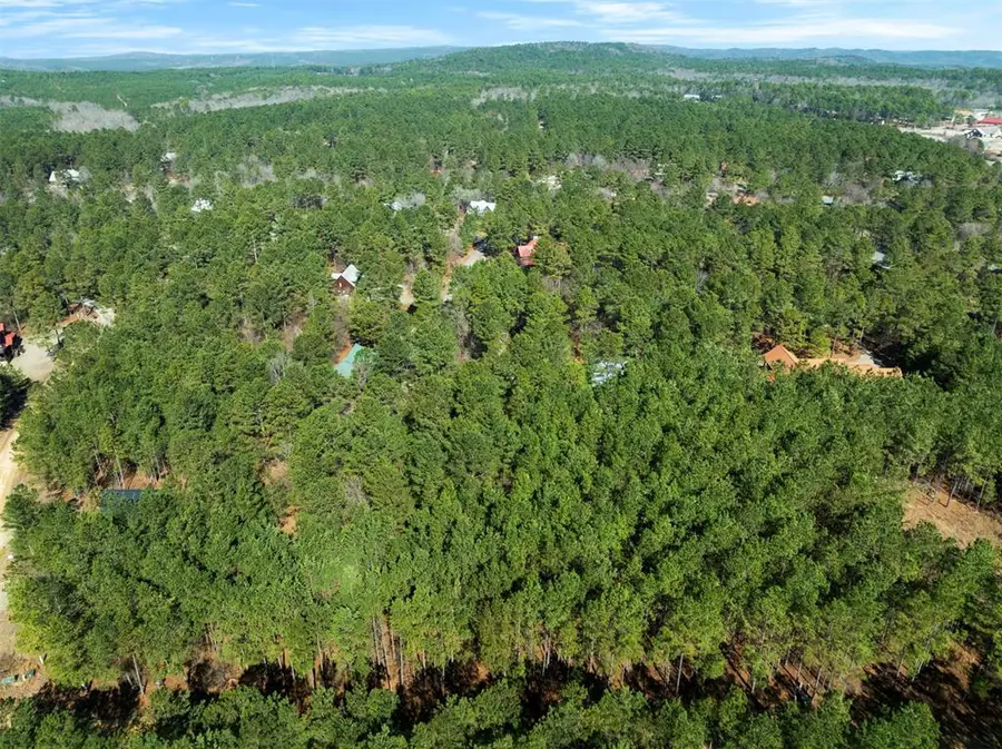 47 Hochadogwood Trail, Broken Bow, OK 74728 - #3