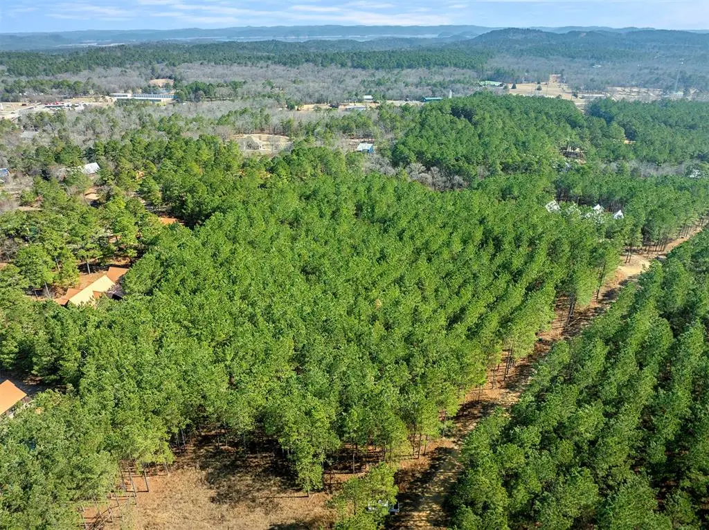 127 Hochadogwood Trail, Broken Bow, OK 74728 - #1